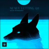 постер песни Stefan - Never Let Go