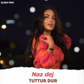 постер песни Naz Dej, Elsen Pro - Tuttur Dur