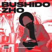 постер песни BUSHIDO ZHO - Тощая блондинка