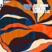 постер песни Burak Yeter - Just Wanna Know You (Summer 2.0)