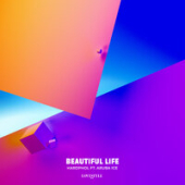 постер песни Hardphol feat. Aruba Ice - Beautiful Life