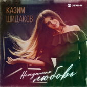 постер песни Казим Шидаков - Нежданная любовь