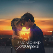 постер песни Brigasound - Полароид