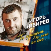 постер песни Игорь Кибирев - Ты Придешь Ко Мне Во Сне