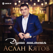 постер песни Аслан Кятов - Душа Шальная