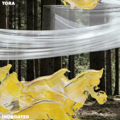 постер песни Tora - Inundated