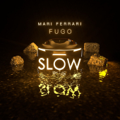 постер песни Mari Ferrari - Slow
