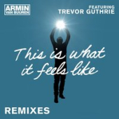 постер песни Armin Van Buuren feat. Trevor Guthrie - This Is What It Feels Like (Ayur Tsyrenov DFM Remix)