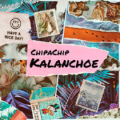 постер песни ChipaChip - KALANCHOE