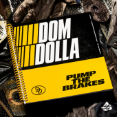 постер песни Dom Dolla - Pump the Brakes