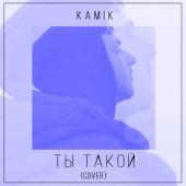 постер песни Kamik - Ты такой (Cover)