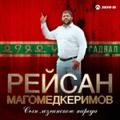 постер песни Рейсан Магомедкеримов - Лезгины