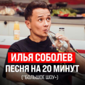 постер песни Илья Соболев - Песня на 20 минут («Большое Шоу»)