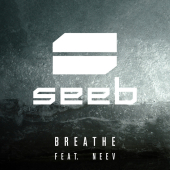 постер песни Seeb, Neev - Breathe