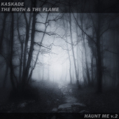 постер песни Kaskade - Haunt Me V.2