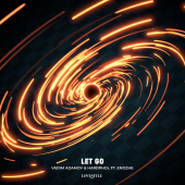 постер песни Vadim Adamov - Let Go