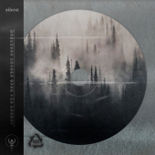 постер песни Silecut - Darkness Creeps Over the Forest