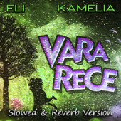 постер песни Eli, Kamelia - Vara Rece (Slowed Reverb Version)
