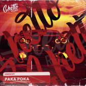 постер песни SINDICVT - Paka Poka