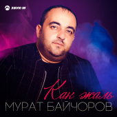 постер песни Мурат Байчоров - Как жаль