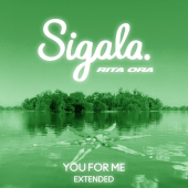 постер песни Sigala - You for Me (Extended)