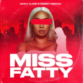 постер песни Sonny Flame - Miss Fatty