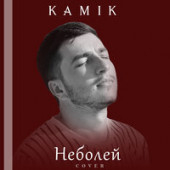 постер песни Kamik - Неболей (cover)