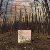 постер песни Lane 8 - Reviver