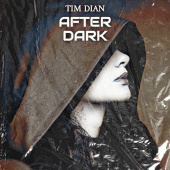 постер песни Tim Dian - After Dark