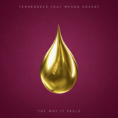 постер песни Tennebreck, Megan Kashat - The Way It Feels