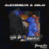 постер песни ALEXEMELYA - Bass Flip