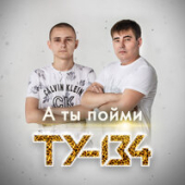 постер песни ТУ134 - А Ты Пойми