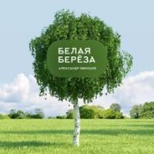постер песни Александр Дюмин - Белая береза