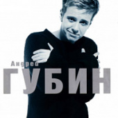 постер песни Зима-холода Андрей Губин