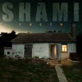 постер песни SHAMI - Любовь