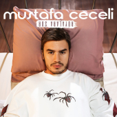постер песни Mustafa Ceceli - Rüyalara Sor