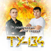 постер песни ТУ134 - Ты Разбиваешь Мое Сердце