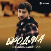 постер песни Шамиль Кашешов - Бродяга