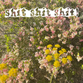 постер песни shit shit shit - станция лето