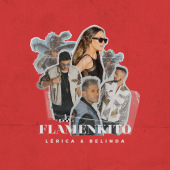 постер песни Lerica - Flamenkito
