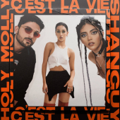 постер песни Shanguy - C est la vie (French version)