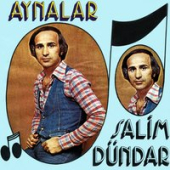 постер песни Salim Dündar - Aynalar