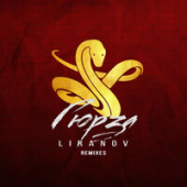 постер песни LIRANOV - Гюрза (XTM Remix)