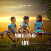 постер песни Edward Maya - Miracles of Life