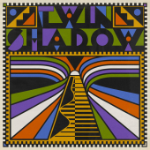 постер песни Twin Shadow - Is There Any Love