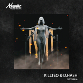 постер песни KILLTEQ - Disturbia
