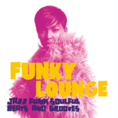 постер песни Digilio Lounge Music - Slow Funky