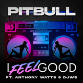 постер песни Pitbull - I Feel Good