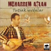 постер песни Muharrem Aslan - Ben Gönlümü Sana Verdim