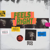 постер песни Biig Piig - Feels Right